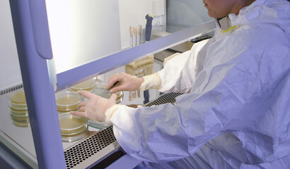Scientist in protective suit studying harmful microorganisms in biosafety cabinet