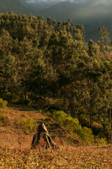 mujer sentada junto a su perro viendo el horizonte frente a una montaña 