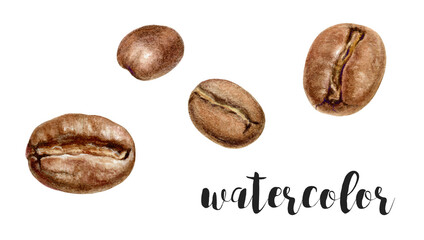 Beautiful Watercolor Illustrations of Coffee Beans Perfect for Various Creative Projects