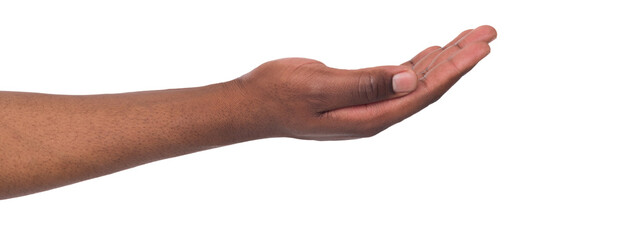 Holding or offering. Outstretched male hand, man keeping empty palm on white isolated background