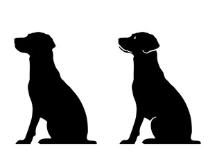 #214 Labrador Retriever