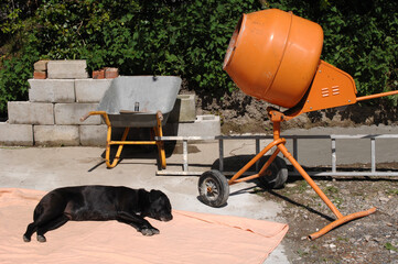 Two black Labradors sunbathing in a construction area May 15 2013