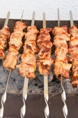 These perfectly grilled meat skewers are simply ideal for enthusiastic barbecue lovers and devoted food enthusiasts