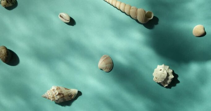 Seashells with underwater moving shadows on the blue background top view