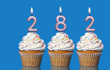Birthday Cupcakes With Candles Lit Forming The Number 282