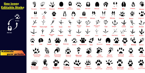 Animals paw prints. Cartoon mammal footprints, black bird foot. Wild animal feet silhouette. 