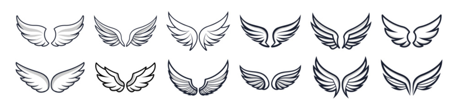 Wings icons set on transparent background. Line style. Angel wings icon vector set. Eagle, bird, heraldic, flying, falcon, phoenix, hawk logo