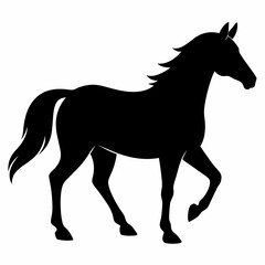 Obraz premium Beautiful horse vector illustration 