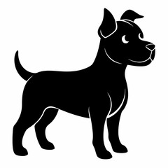 black and white dog