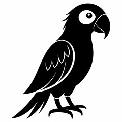 Beautiful parrot bird vector illustration 