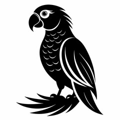 Beautiful parrot bird vector illustration 