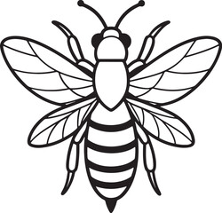 A silhouette butterfly Illustration. Black & White butterfly  design vector with white background