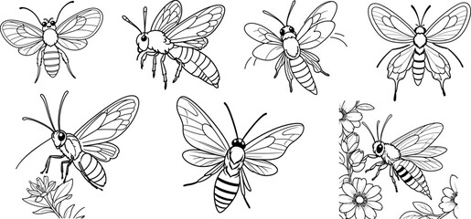 Moth and Butterfly hand drawing coloring page and outline vector design