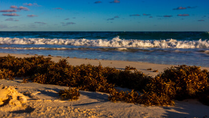 Horseshoe Bay Beach and Deep Bay Beach