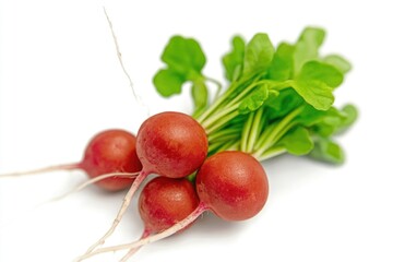 Fresh Harvested Radishes on White Background with Green Leaves