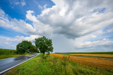 Fototapeta premium Storm clouds over rural landscape, fields and sky