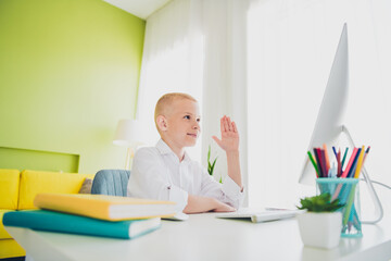 Portrait of charming clever intelligent boy study from home modern technology computer indoors room apartment