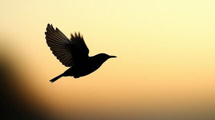 Silhouette of Bird in Flight Against Yellow Sunset Background for Nature-Themed Designs, Wildlife Photography, and Peaceful Scenery Concepts