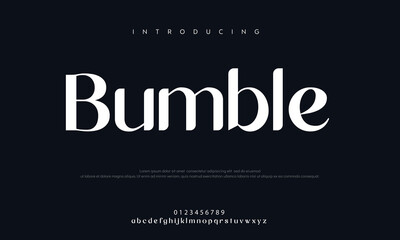 Bumble Elegant Alphabet Font ,Modern script font, Uppercase Lowercase and Number. Classic Lettering Minimal Fashion Designs. Typography modern bold ,decorative vintage concept. vector illustration