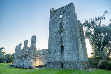 castle ruins, castlemartyr, ireland © mark