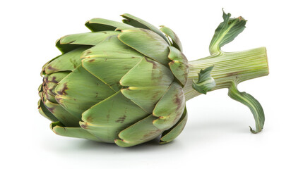 A whole artichoke isolated on white