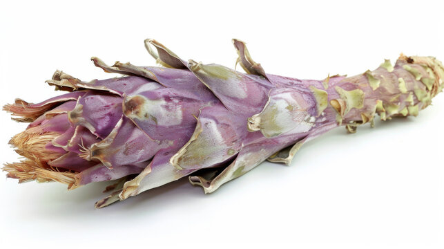 A whole cardoon isolated on white