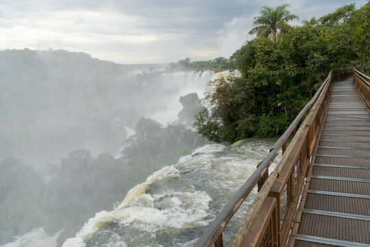Vista desde las pasarelas superiores de las Cataratas del Iguaz&uacute; desde el lado argentino. Entre la selva se pueden observar los saltos de agua.