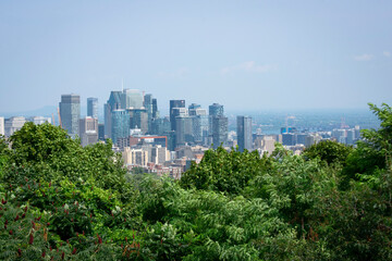 City skyline with skyscrapers