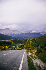 New Zealand Highway