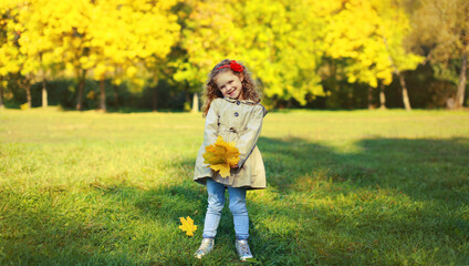 Happy little girl kid with yellow maple leaves in sunny autumn park