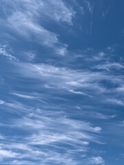 blue sky with clouds