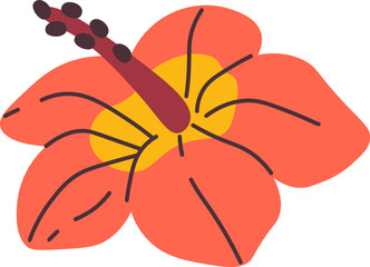 Tropical Exotic Flower