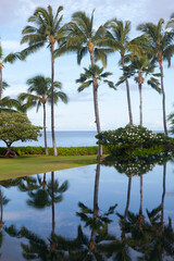 Palm tree reflection in swimming pool, luxury tropical resort spa paradise