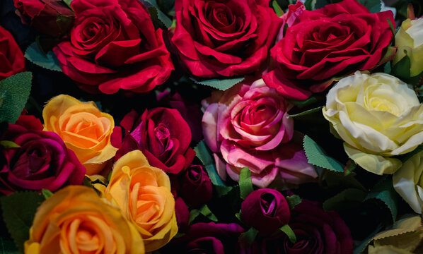 A bouquet of roses in various colors, including red, yellow, and white. The arrangement is full and vibrant, creating a sense of warmth and happiness