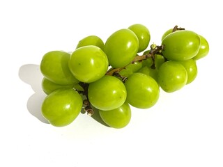 Group of fresh green grape fruits cluster on its branch and vine isolated on white background
