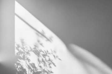 Eclipse Shadow Overlays