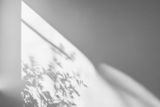 Eclipse Shadow Overlays