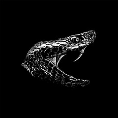Naklejka premium Snake Head hand drawing vector isolated on black background.
