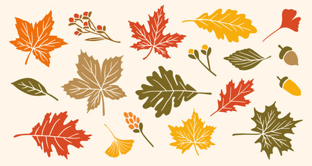 Autumn Leaves and Fall Leaf for Autumn Background in Vector SVG Isolated Autumn Wild Berry Nature Element