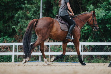 A young woman riding a brown horse in an outdoor equestrian arena surrounded by lush greenery. The...