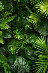 Lush Green Tropical Foliage Background with Various Leaf Shapes and Textures in a Dense Jungle Setting