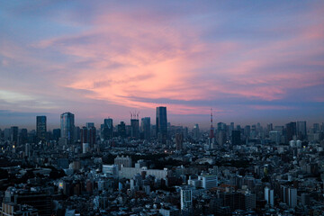 Fototapeta premium 東京の夕暮れ