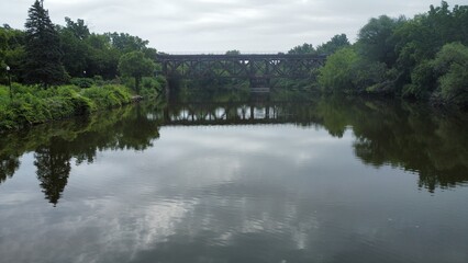 reflection of trees in the lake