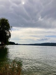upcoming storm on a lakeside with tree