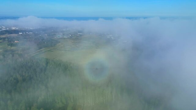 Rare weather phenomenon ringed glory with the shadow of the drone in the middle of it. Estonia.