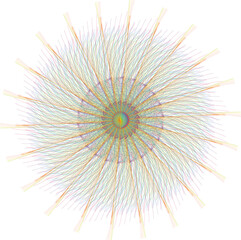 colorful mandala design vector 