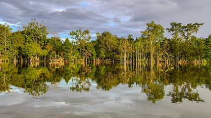 Reflejos de selva en el río amazonas