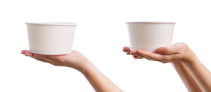 Female hand holding fiber food box and paper cup isolated on white background.