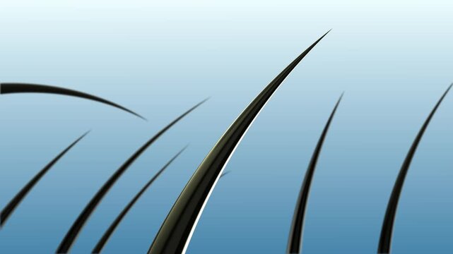 3d  Hair care, Animation Nourish hair action of shampoo or serum. Concept Repair damaged hair.
