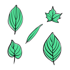 leaf hand drawn illustration flat